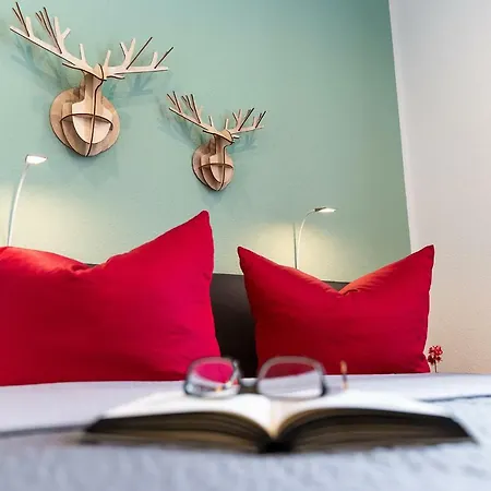 Friedrichring Apartment *